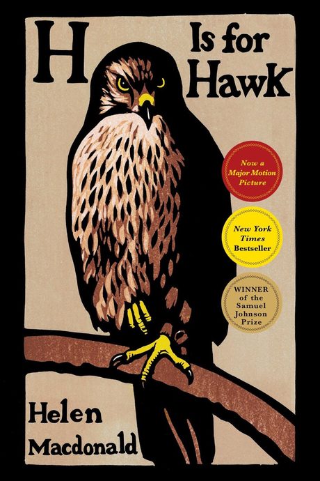 Cover of H Is for Hawk by Helen Macdonald