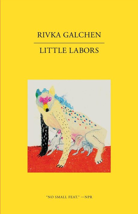 Cover of Little Labors by Rivka Galchen