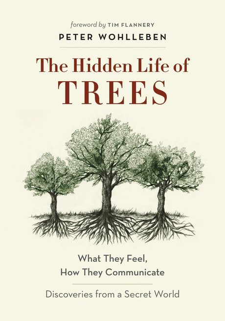 Cover of The Hidden Life of Trees by Peter Wohlleben