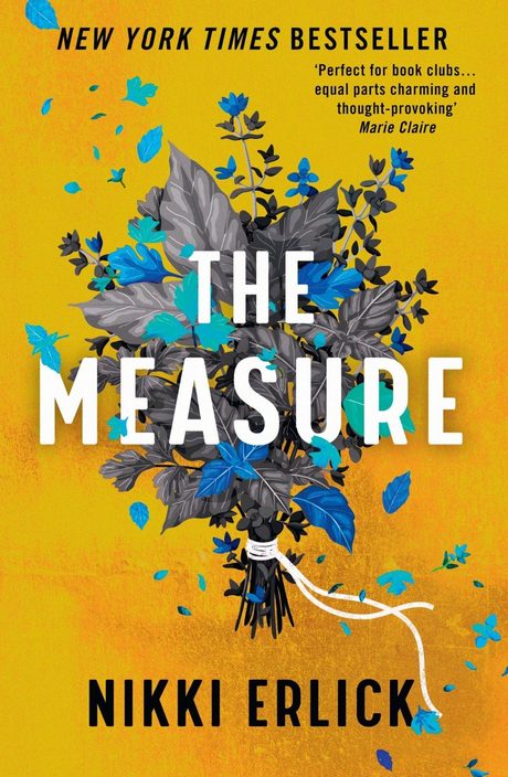 Cover of The Measure by Nikki Erlick