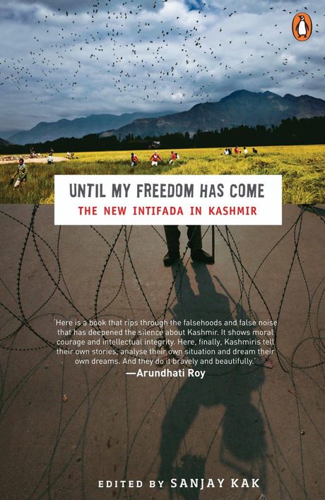 Cover of Until My Freedom Has Come by Sanjay Kak